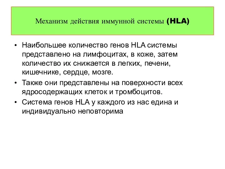 Наибольшее количество генов HLA системы представлено на лимфоцитах, в коже, затем