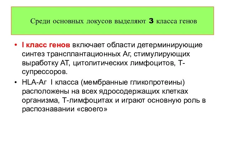 I класс генов включает области детерминирующие синтез трансплантационных Аг, стимулирующих выработку