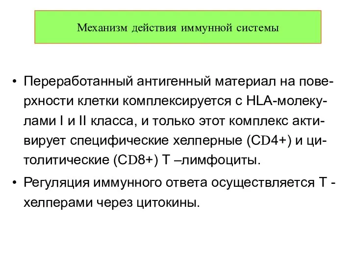 Переработанный антигенный материал на пове-рхности клетки комплексируется с НLА-молеку-лами I и