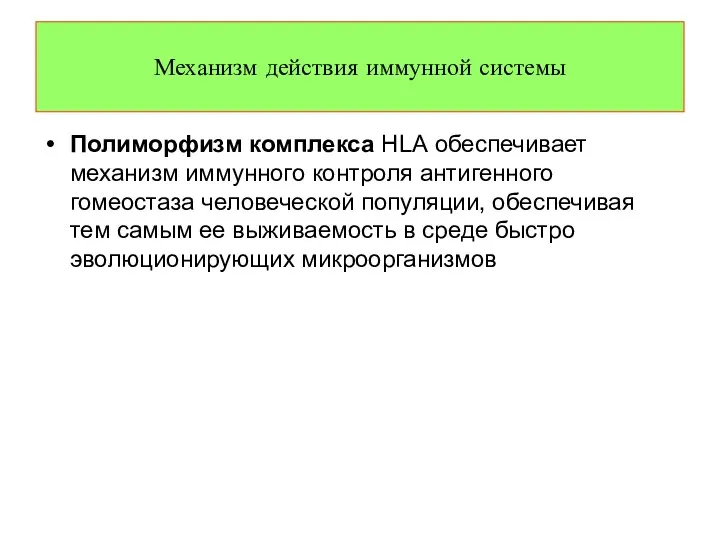 Полиморфизм комплекса НLА обеспечивает механизм иммунного контроля антигенного гомеостаза человеческой популяции,