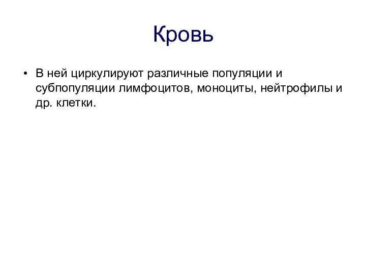 Кровь В ней циркулируют различные популяции и субпопуляции лимфоцитов, моноциты, нейтрофилы и др. клетки.