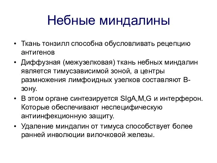 Небные миндалины Ткань тонзилл способна обусловливать рецепцию антигенов Диффузная (межузелковая) ткань