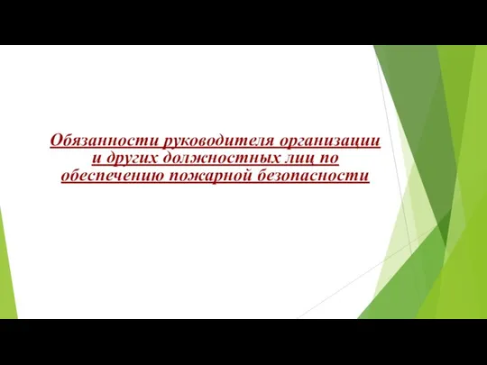 Обязанности руководителя организации и других должностных лиц по обеспечению пожарной безопасности