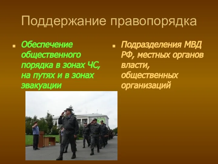 Поддержание правопорядка Обеспечение общественного порядка в зонах ЧС, на путях и