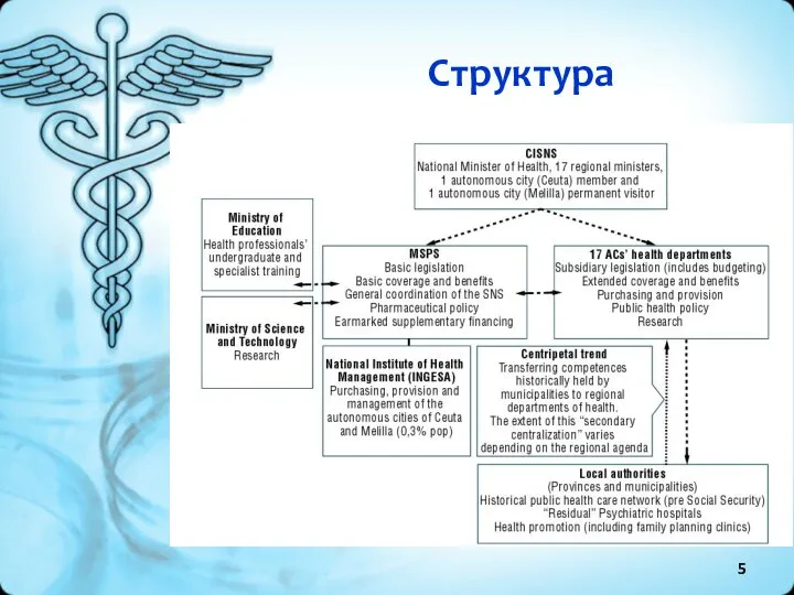 Структура