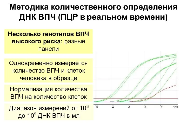 Методика количественного определения ДНК ВПЧ (ПЦР в реальном времени) Несколько генотипов