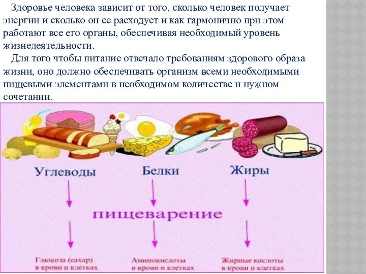 Здоровье человека зависит от того, сколько человек получает энергии и сколько