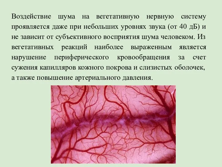 Воздействие шума на вегетативную нервную систему проявляется даже при небольших уровнях