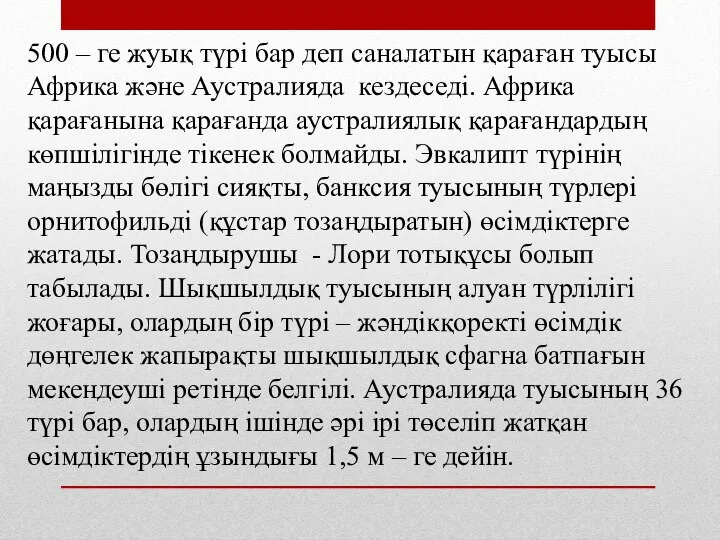 500 – ге жуық түрі бар деп саналатын қараған туысы Африка