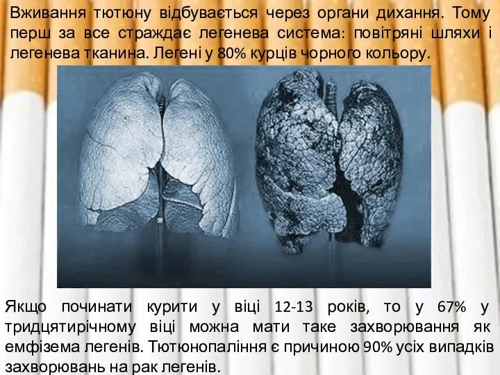 Вживання тютюну відбувається через органи дихання. Тому перш за все страждає