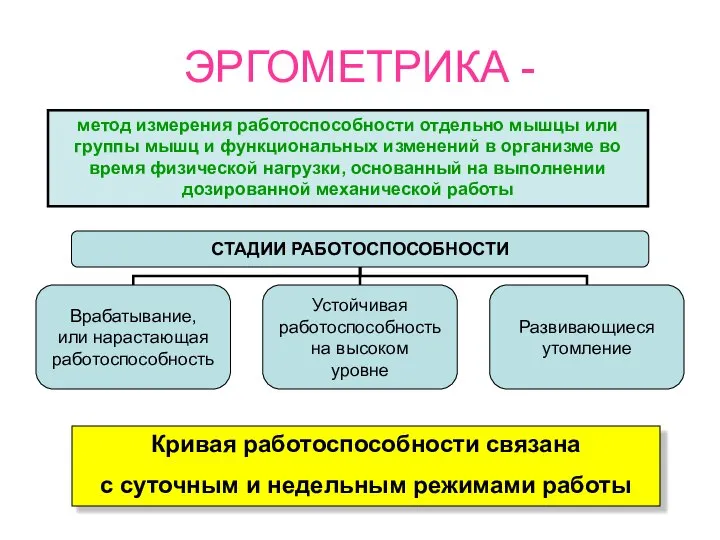 ЭРГОМЕТРИКА - метод измерения работоспособности отдельно мышцы или группы мышц и