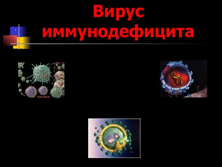 Вирус иммунодефицита