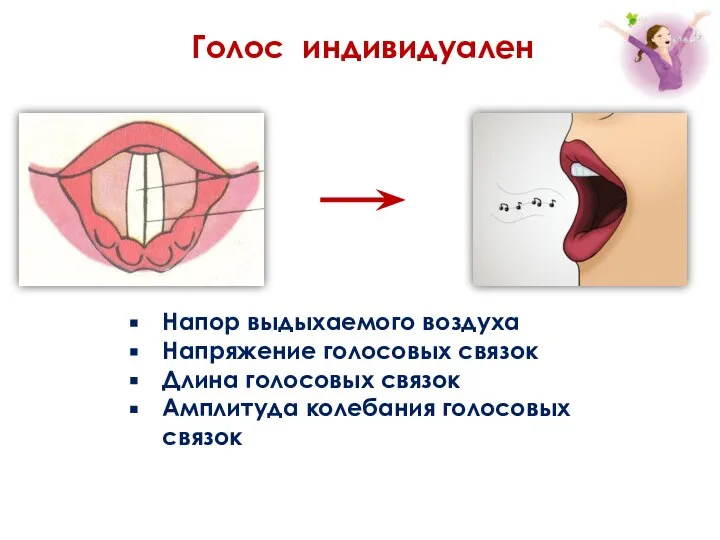 Напор выдыхаемого воздуха Напряжение голосовых связок Длина голосовых связок Амплитуда колебания голосовых связок Голос индивидуален