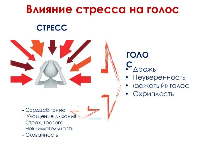 Влияние стресса на голос Дрожь Неуверенность «зажатый» голос Охриплость СТРЕСС ГОЛОС