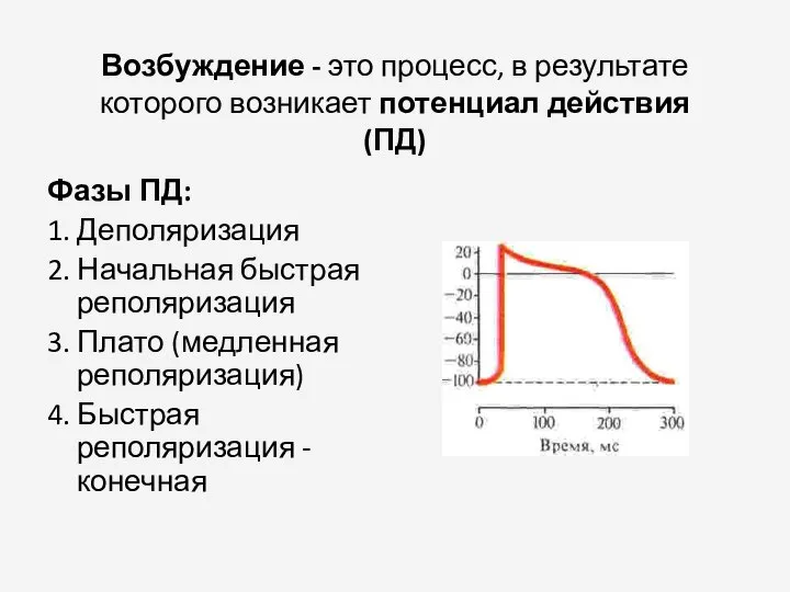 Возбуждение - это процесс, в результате которого возникает потенциал действия (ПД)