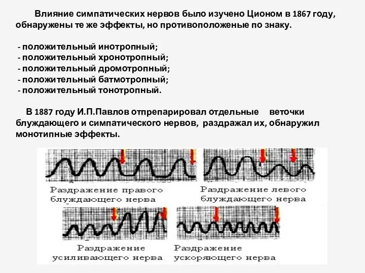 Влияние симпатических нервов было изучено Ционом в 1867 году, обнаружены те