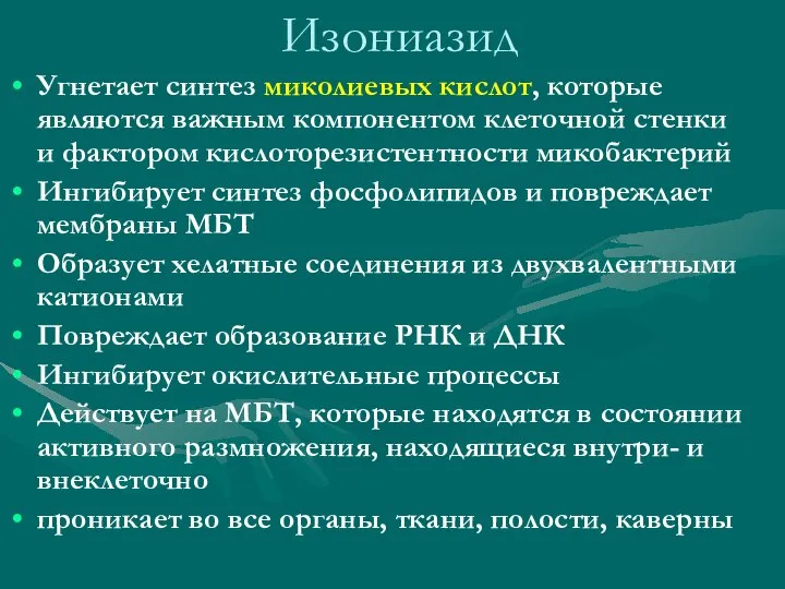 Изониазид Угнетает синтез миколиевых кислот, которые являются важным компонентом клеточной стенки