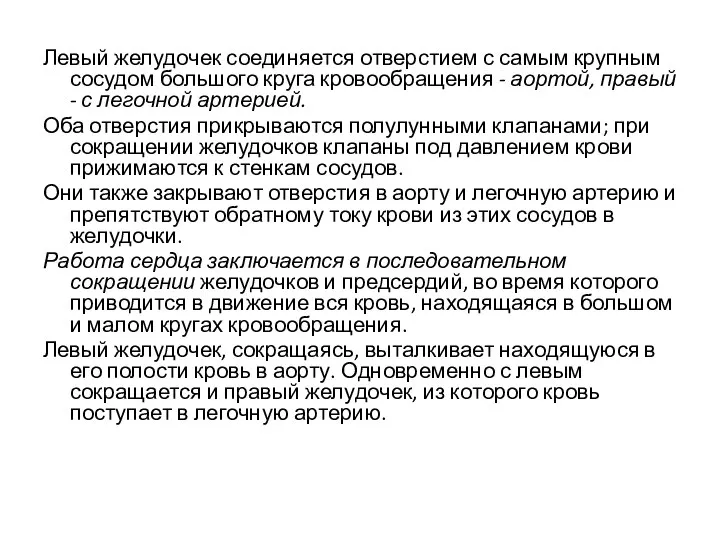 Левый желудочек соединяется отверстием с самым крупным сосудом большого круга кровообращения