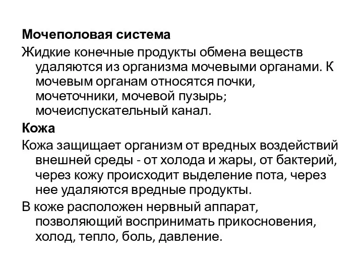 Мочеполовая система Жидкие конечные продукты обмена веществ удаляются из организма мочевыми