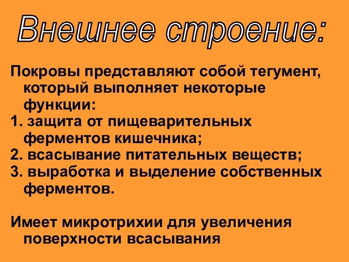 Покровы представляют собой тегумент, который выполняет некоторые функции: 1. защита от