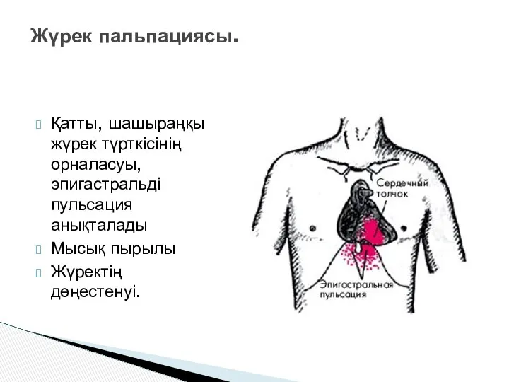 Қатты, шашыраңқы жүрек түрткісінің орналасуы, эпигастральді пульсация анықталады Мысық пырылы Жүректің дөңестенуі. Жүрек пальпациясы.