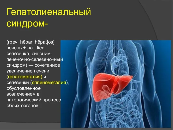 Гепатолиенальный синдром- (греч. hēpar, hēpat[os] печень + лат. lien селезенка; синоним