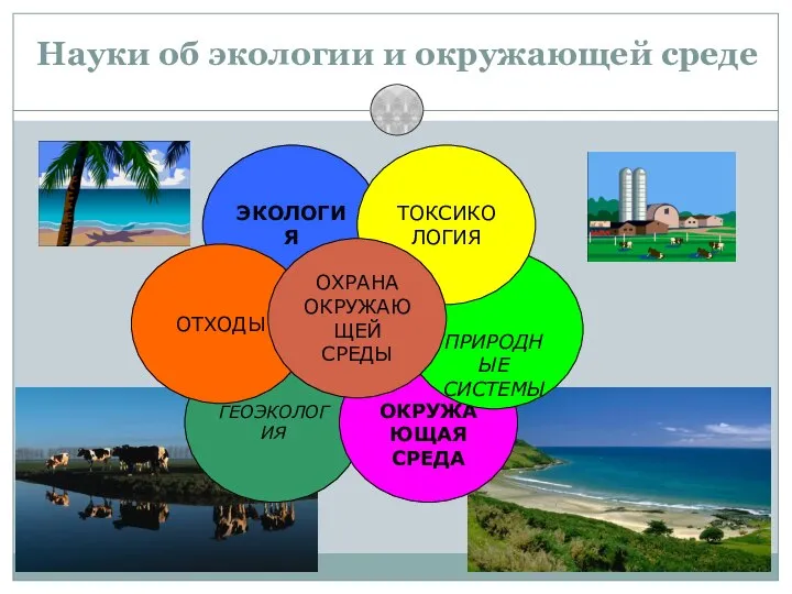 13 Науки об экологии и окружающей среде