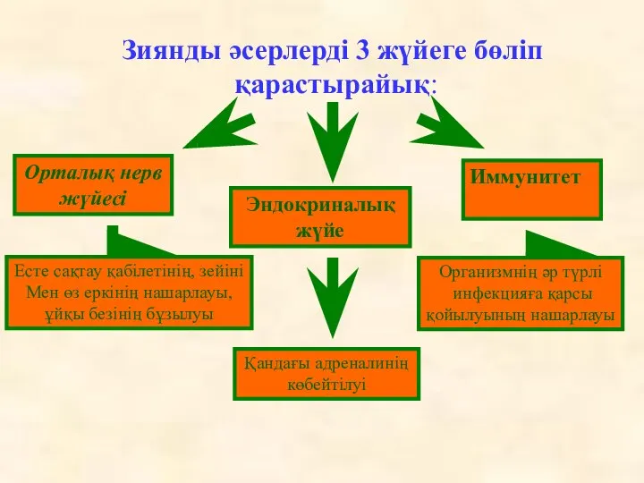 Зиянды әсерлерді 3 жүйеге бөліп қарастырайық: Орталық нерв жүйесі Есте сақтау