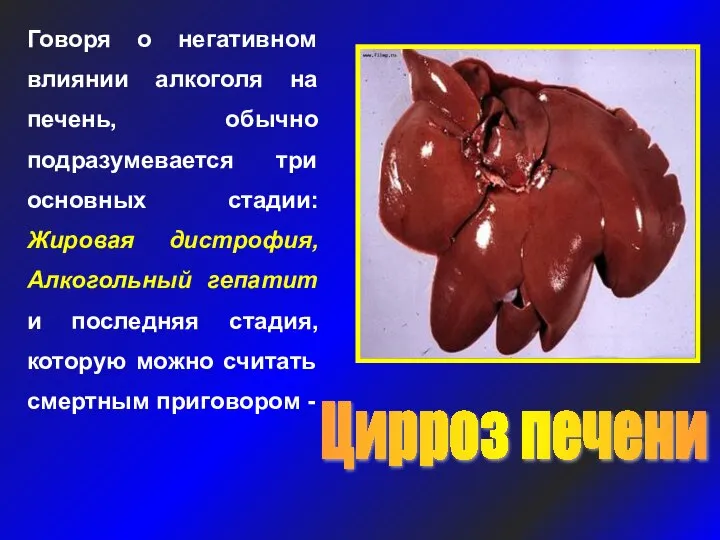 Говоря о негативном влиянии алкоголя на печень, обычно подразумевается три основных