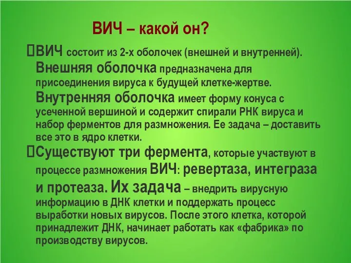 ВИЧ – какой он? ВИЧ состоит из 2-х оболочек (внешней и