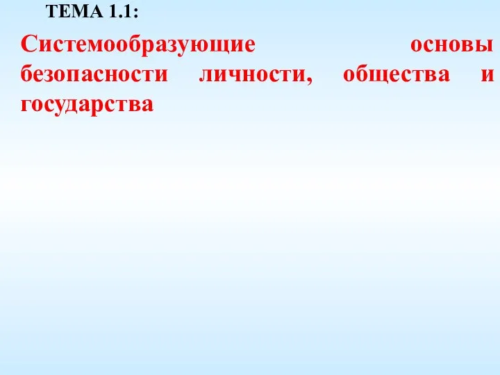 ТЕМА 1.1: Системообразующие основы безопасности личности, общества и государства