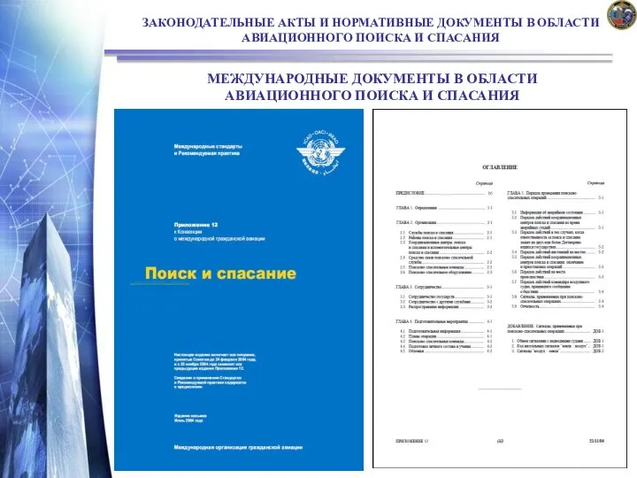 ЗАКОНОДАТЕЛЬНЫЕ АКТЫ И НОРМАТИВНЫЕ ДОКУМЕНТЫ В ОБЛАСТИ АВИАЦИОННОГО ПОИСКА И СПАСАНИЯ