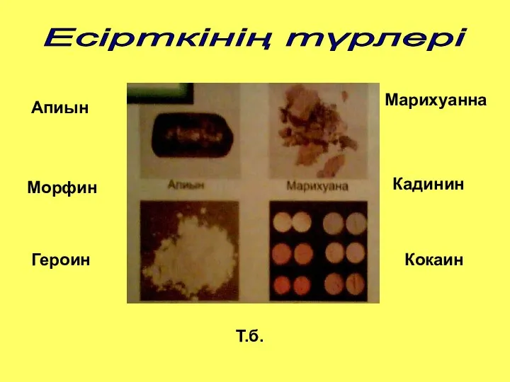 Есірткінің түрлері Апиын Морфин Героин Марихуанна Кадинин Кокаин Т.б.