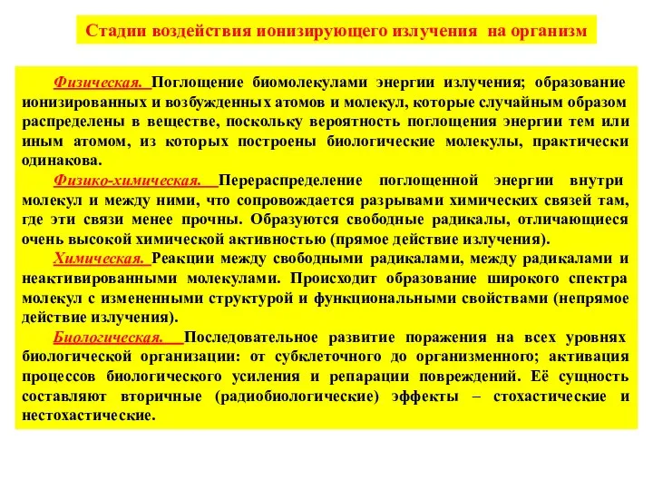 Стадии воздействия ионизирующего излучения на организм Физическая. Поглощение биомолекулами энергии излучения;