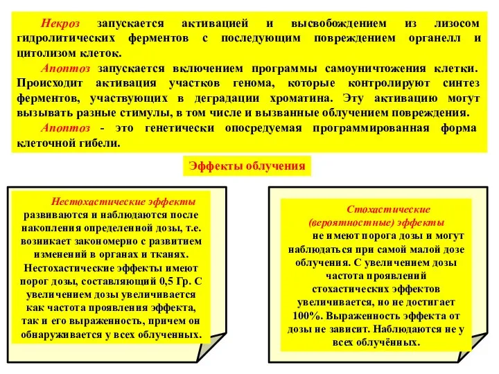 Некроз запускается активацией и высвобождением из лизосом гидролитических ферментов с последующим