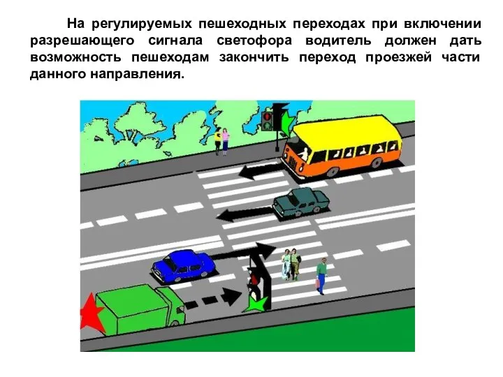 На регулируемых пешеходных переходах при включении разрешающего сигнала светофора водитель должен