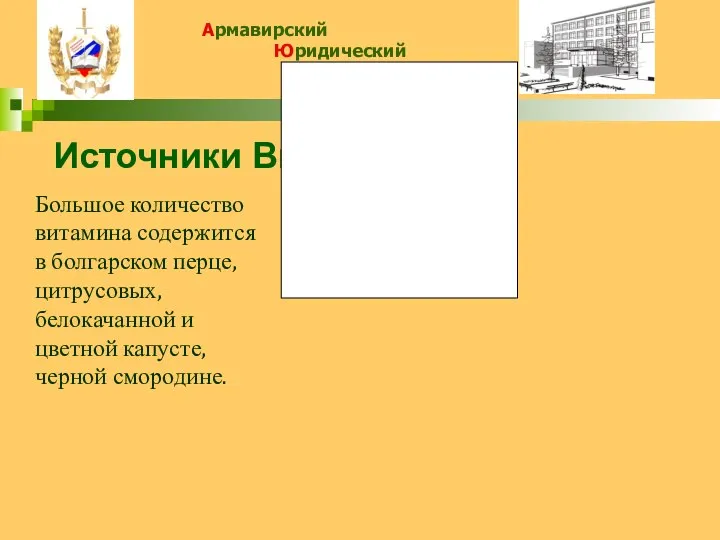 Источники Витамина С Большое количество витамина содержится в болгарском перце, цитрусовых,