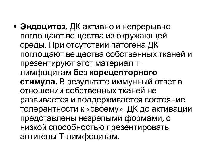 Эндоцитоз. ДК активно и непрерывно поглощают вещества из окружающей среды. При