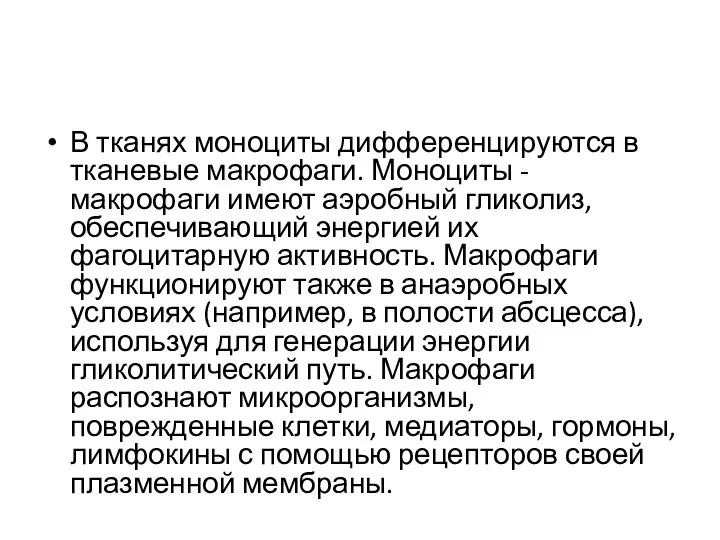 В тканях моноциты дифференцируются в тканевые макрофаги. Моноциты - макрофаги имеют