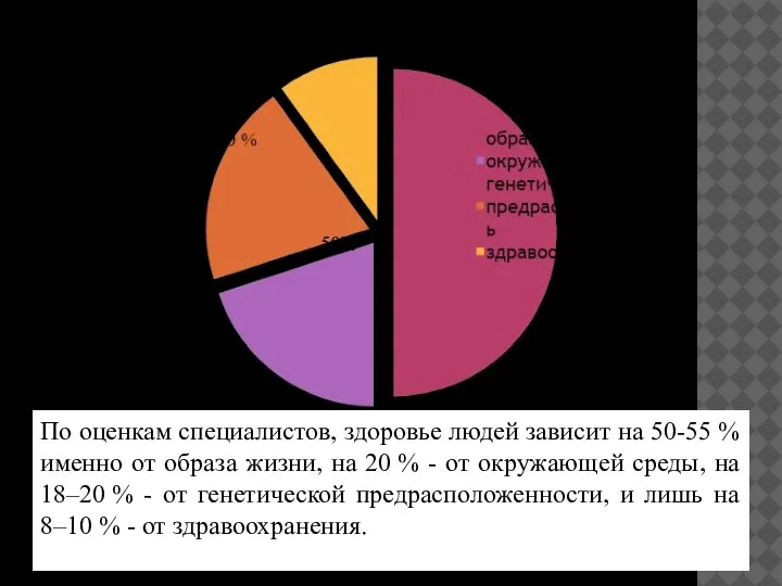 По оценкам специалистов, здоровье людей зависит на 50-55 % именно от