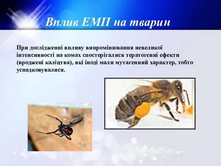 Вплив ЕМП на тварин При дослідженні впливу випромінювання невеликої інтенсивності на