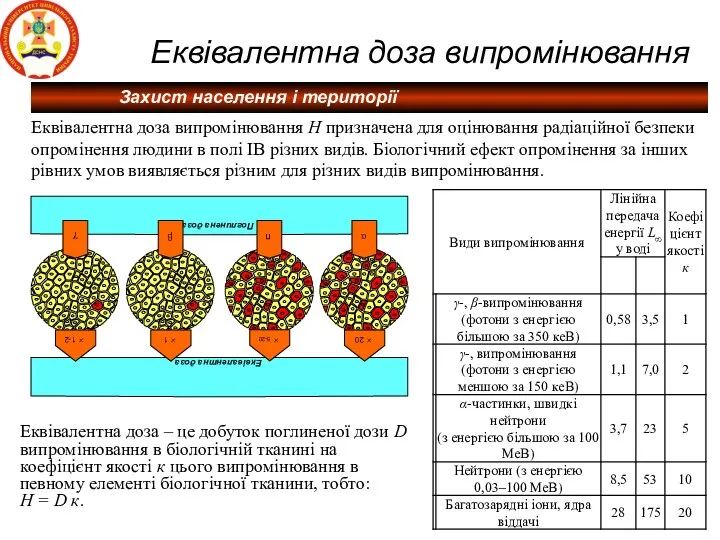 Еквівалентна доза випромінювання Еквівалентна доза випромінювання Н призначена для оцінювання радіаційної