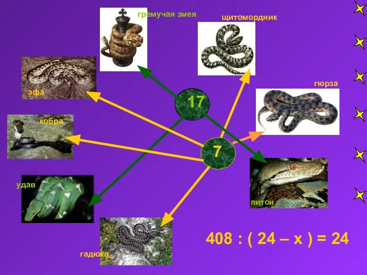 17 7 гремучая змея удав кобра эфа щитомордник гадюка гюрза 408
