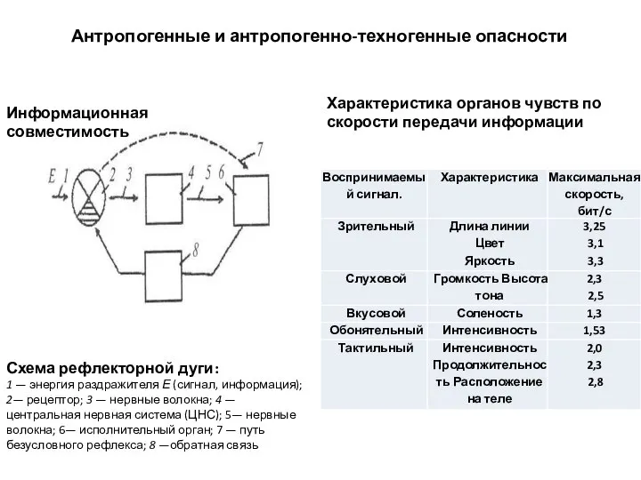 Схема рефлекторной дуги: 1 — энергия раздражителя Е (сигнал, информация); 2—