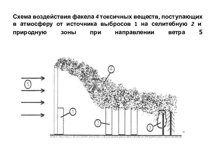 Схема воздействия факела 4 токсичных веществ, посту­пающих в атмосферу от источника