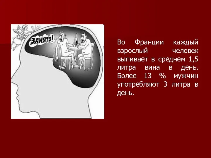 Во Франции каждый взрослый человек выпивает в среднем 1,5 литра вина