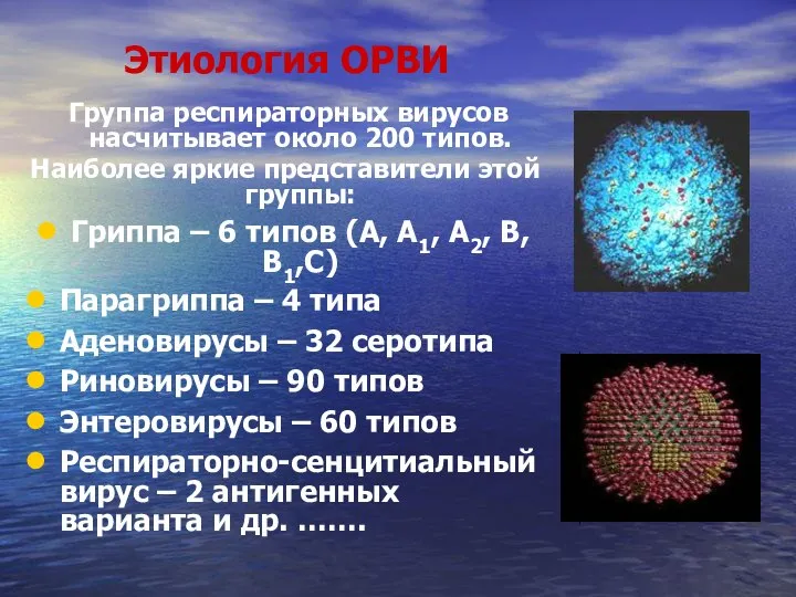 Этиология ОРВИ Группа респираторных вирусов насчитывает около 200 типов. Наиболее яркие