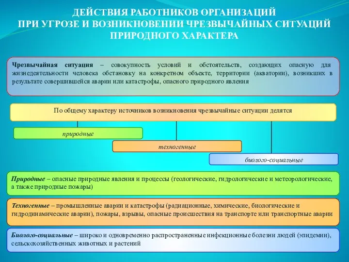 ДЕЙСТВИЯ РАБОТНИКОВ ОРГАНИЗАЦИЙ ПРИ УГРОЗЕ И ВОЗНИКНОВЕНИИ ЧРЕЗВЫЧАЙНЫХ СИТУАЦИЙ ПРИРОДНОГО ХАРАКТЕРА