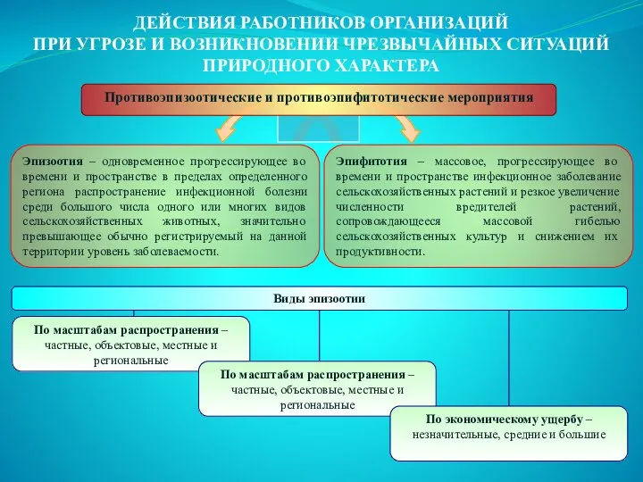 ДЕЙСТВИЯ РАБОТНИКОВ ОРГАНИЗАЦИЙ ПРИ УГРОЗЕ И ВОЗНИКНОВЕНИИ ЧРЕЗВЫЧАЙНЫХ СИТУАЦИЙ ПРИРОДНОГО ХАРАКТЕРА