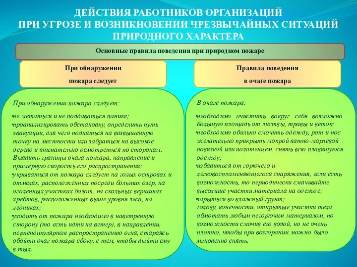 ДЕЙСТВИЯ РАБОТНИКОВ ОРГАНИЗАЦИЙ ПРИ УГРОЗЕ И ВОЗНИКНОВЕНИИ ЧРЕЗВЫЧАЙНЫХ СИТУАЦИЙ ПРИРОДНОГО ХАРАКТЕРА